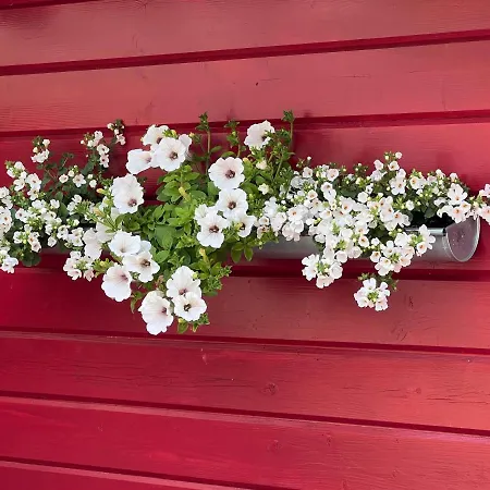 House Of Bichounette Ferienhaus Urville-Nacqueville