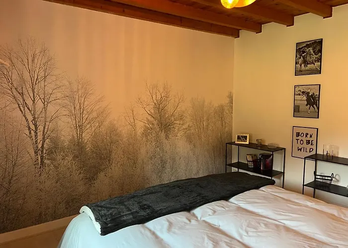 House Of Bichounette *